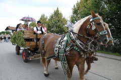 auszug_zur_festwiese_17_20110910_1965715743