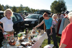 wiesenrummel_und_flohmarkt_15_20110911_1673001818