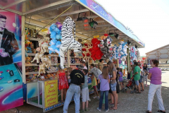 wiesenrummel_und_flohmarkt_6_20110911_1335920794