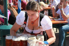 nachmittag_auf_der_wiesn_3_20120916_1099724876