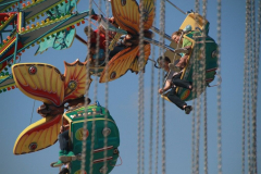 nachmittag_auf_der_wiesn_4_20120916_1984501530