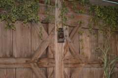 sonntag_nachmittag_16_20120916_1434165932