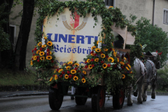 einzug_2013_20130914_1610136918