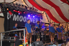 super_stimmung_mit_den_moosnern_20130915_2063289851