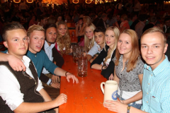 tag_der_betriebe_mit_der_harthauser_musi_20130921_1843317585