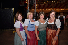 1_dirndl_und_burschenversteigerung_110_20130920_1787293473