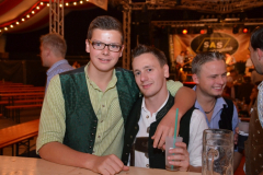 1_dirndl_und_burschenversteigerung_147_20130920_1960316693