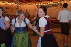 1_dirndl_und_burschenversteigerung_149_20130920_1324454296