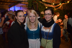 1_dirndl_und_burschenversteigerung_153_20130920_1803552229