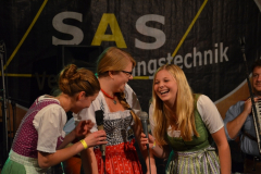 1_dirndl_und_burschenversteigerung_56_20130920_1023282921