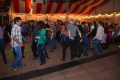 die_panzerknacker_auf_der_wiesn-alm_93_20130919_1965072640