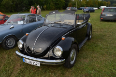 oldtimer_33_20130923_2075078340