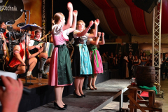 dirndl_und_burschen_versteigerung_in_der_b12-arena_159_20140919_1269680753