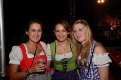 dirndl_und_burschen_versteigerung_in_der_b12-arena_245_20140919_1694954825