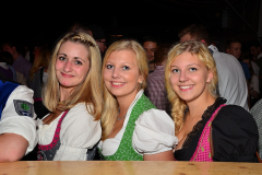 dirndl_und_burschen_versteigerung_in_der_b12-arena_270_20140919_1191100182