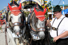 kindernachmittag_beim_haager_herbstfest_15_20140917_1629826079