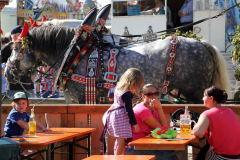 kindernachmittag_beim_haager_herbstfest_18_20140917_1949744217