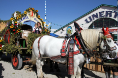 kindernachmittag_beim_haager_herbstfest_44_20140917_1593099772