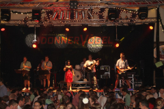 tag_zwei_holzschupfamusi_und_abends_die_dornenvoegel_18_20140914_1417487873
