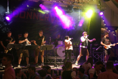tag_zwei_holzschupfamusi_und_abends_die_dornenvoegel_22_20140914_2064948270