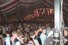 tag_zwei_holzschupfamusi_und_abends_die_dornenvoegel_30_20140914_2089311412