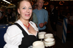 tag_zwei_holzschupfamusi_und_abends_die_dornenvoegel_44_20140914_1787522819