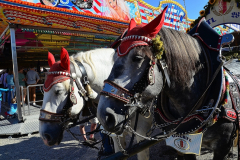 kindernachmittag_auf_dem_haager_herbstfest_119_20140919_1909262819