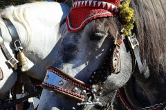 kindernachmittag_auf_dem_haager_herbstfest_120_20140919_1211567464
