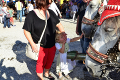 kindernachmittag_auf_dem_haager_herbstfest_138_20140919_1577333909