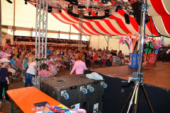 kindernachmittag_auf_dem_haager_herbstfest_95_20140919_1775186665