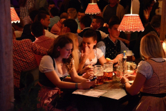 samstag_abend_in_der_wiesn-alm_mit_der_band_flashdance_48_20140921_1508645877