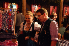 samstag_abend_in_der_wiesn-alm_mit_der_band_flashdance_50_20140921_1039571951