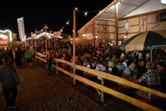 samstag_abend_in_der_wiesn-alm_mit_der_band_flashdance_52_20140921_1161549554
