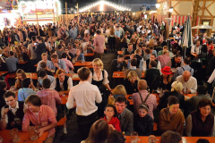 samstag_abend_in_der_wiesn-alm_mit_der_band_flashdance_87_20140921_2004314111