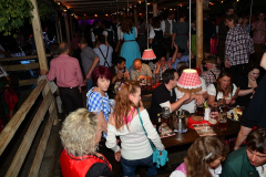 wiesn_alm_am_samstag_101_20140915_1053331384