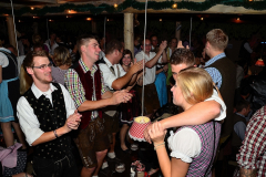 wiesn_alm_am_samstag_104_20140915_1513992153