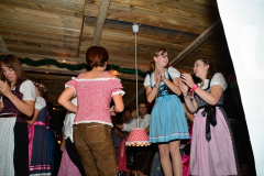 wiesn_alm_am_samstag_110_20140915_1796015704