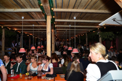 wiesn_alm_am_samstag_111_20140915_1058870454