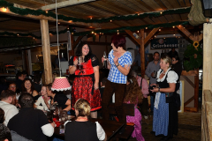 wiesn_alm_am_samstag_113_20140915_2050021037