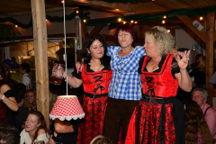 wiesn_alm_am_samstag_115_20140915_1914817009