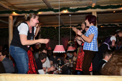 wiesn_alm_am_samstag_118_20140915_1527724257