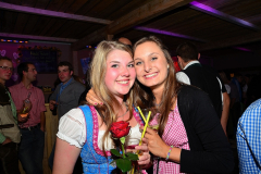 wiesn_alm_am_samstag_126_20140915_1536151700