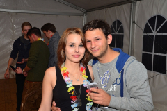 wiesn_alm_am_samstag_132_20140915_2000316972
