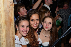 wiesn_alm_am_samstag_135_20140915_1381158438