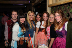 wiesn_alm_am_samstag_145_20140915_1158898838