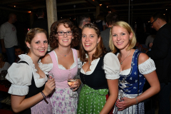 wiesn_alm_am_samstag_146_20140915_1083606360