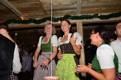 wiesn_alm_am_samstag_150_20140915_1899247943