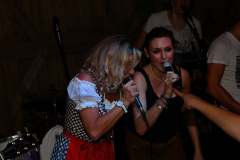 wiesn_alm_am_samstag_155_20140915_1876135197