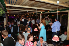 wiesn_alm_am_samstag_158_20140915_1696931196