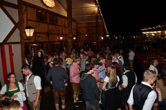 wiesn_alm_am_samstag_162_20140915_2086642157